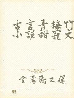 古言青梅竹马的小说甜宠文