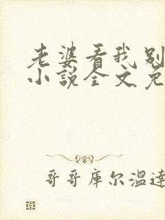 老婆看我别看他小说全文免费阅读