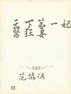 天下第一妃 神医狂妻