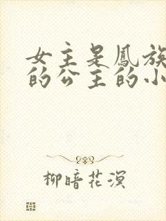 女主是凤族唯一的公主的小说