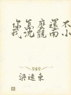 你怎么还不来哄我沈观南小说免费阅读