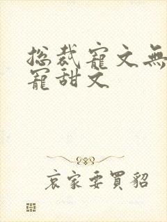 总裁宠文无虐超宠甜文