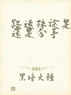 路远殊途是表白还是分手