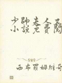 少帅夫人又跑了小说免费阅读