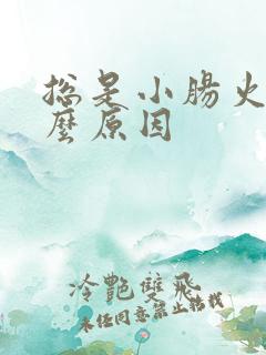 总是小肠火是什么原因