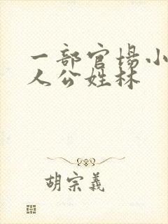 一部官场小说主人公姓林