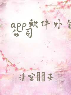 app软件外包公司