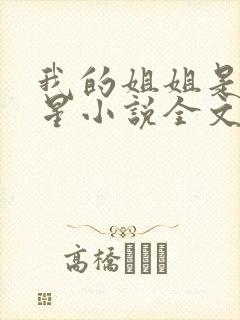 我的姐姐是大明星小说全文阅读