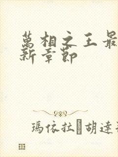 万相之王最近更新章节