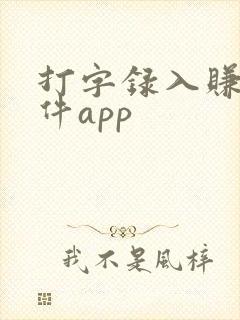 打字录入赚钱软件app