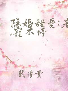 隐婚甜爱:老公,宠不停