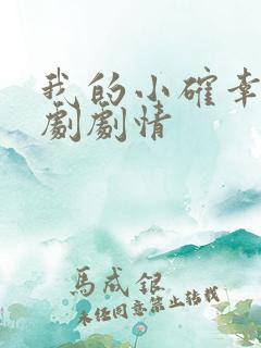 我的小确幸电视剧剧情