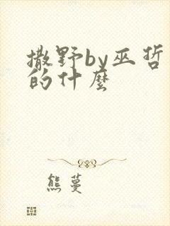 撒野by巫哲讲的什么