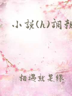 小说(h)调教
