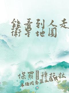 能看到人走路的卫星地图