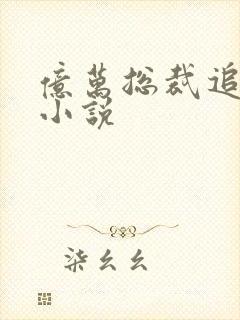 亿万总裁追妻忙小说