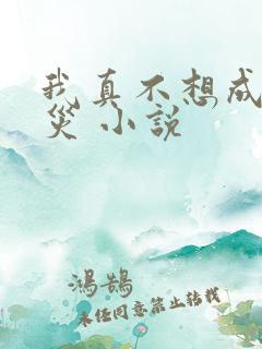 我真不想成为天灾 小说