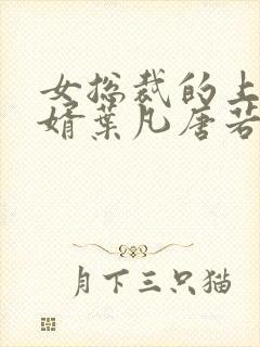 女总裁的上门女婿叶凡唐若雪小说续集