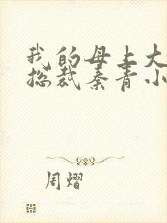 我的母上大人是总裁秦青小说