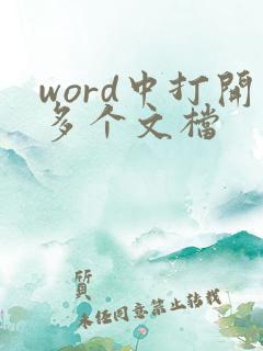 word中打开多个文档
