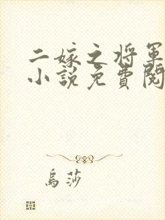 二嫁之将军夫人小说免费阅读