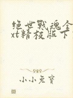 绝世战魂全本txt精校版下载