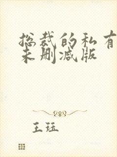 总裁的私有宝贝未删减版