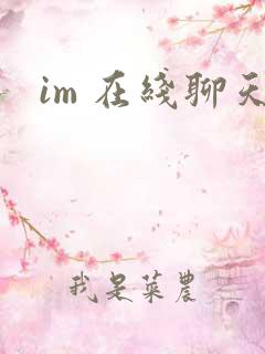 im 在线聊天