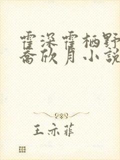 霍深霍栖野夏稚乔欣月小说叫什么