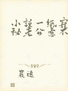 小说一纸宠婚神秘老公惹不得