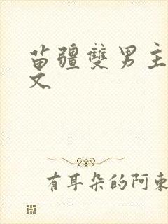 苗疆双男主生子文