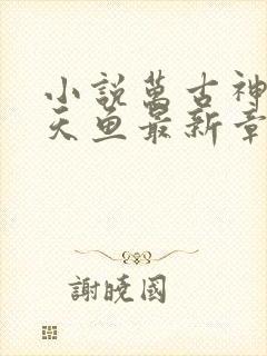 小说万古神帝飞天鱼最新章节列