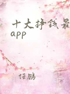 十大挣钱最快的app