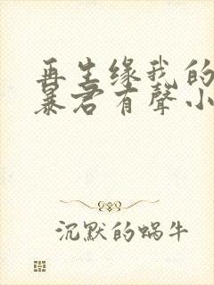 再生缘我的温柔暴君有声小说