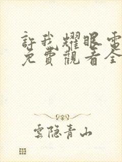 许我耀眼电视剧免费观看全集完整版