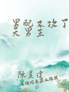 男配又攻了龙傲天男主