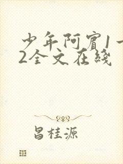 少年阿宾1一72全文在线