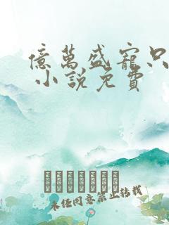 亿万盛宠只为你 小说免费