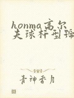 honma高尔夫球杆型号