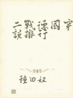 二战德国穿越小说排行