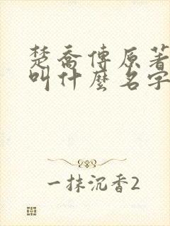 楚乔传原著小说叫什么名字