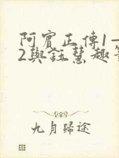 阿宾正传1—72与钰慧趣笔阁