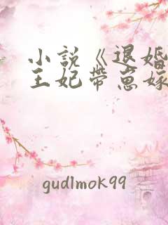 小说《退婚后,王妃带崽嫁皇叔》