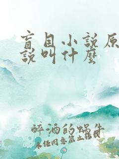 盲目小说原著小说叫什么