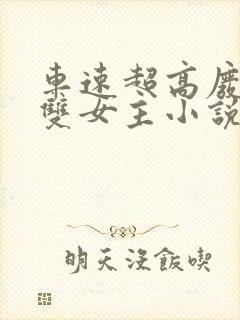 车速超高废文的双女主小说免费阅读