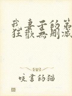 我妻子的第一次狂欢无删减版