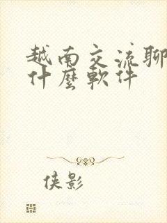 越南交流聊天用什么软件