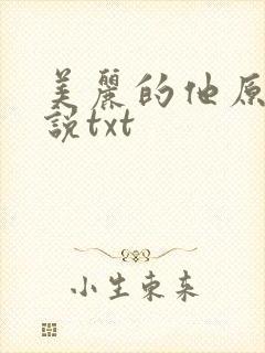 美丽的他原著小说txt