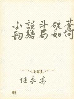 小说斗破苍穹云韵结局如何