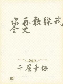 你再敢躲我试试全文